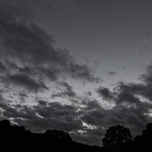 _Z506802_DXOPxl.jpg