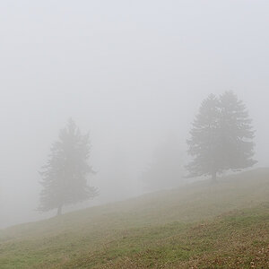 Nebel.jpg