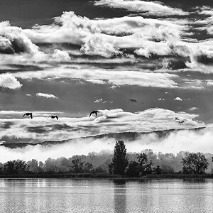Bodensee-5376-Bearbeitet.jpg