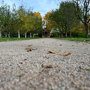 Herbst_20.jpg