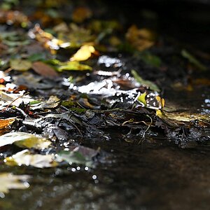 Herbst_25.jpg