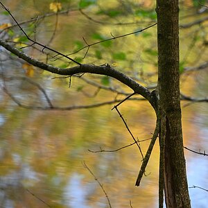 Herbst_30.jpg