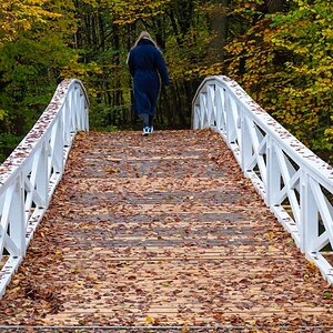 Herbstbrücke.jpg