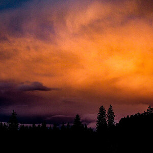 PB060011-2.jpg