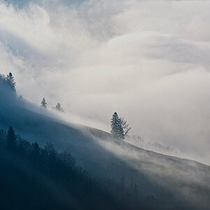 Nebel.jpg