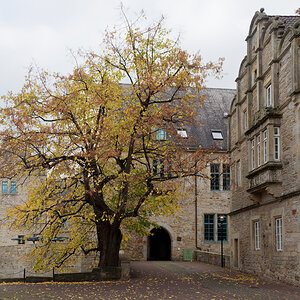 KSW02645.jpg