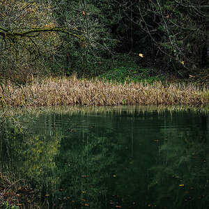 PB110161.jpg