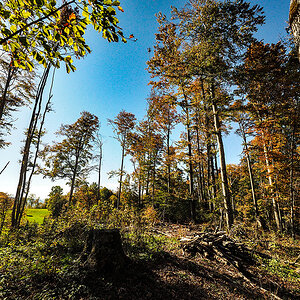 PA140056.jpg