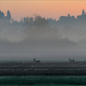 D50_0837-Verbessert-RR.jpg