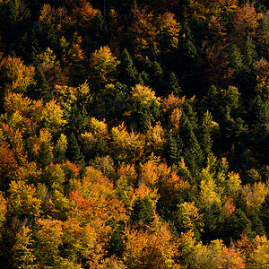 Herbst-02.jpg