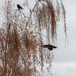 OF5_42304.jpg