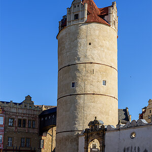 OF2_55263.jpg