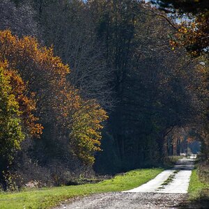 Der Weg ins Moor 2.jpg
