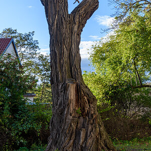 OF2_66780.jpg