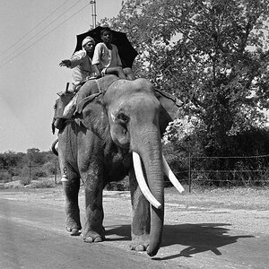 Indien1976-125.jpg
