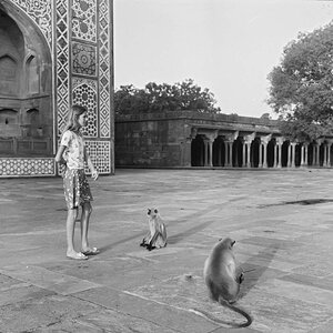 Indien1976-139.jpg