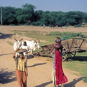 Indien1976-176.jpg
