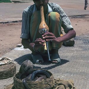 Indien1976-188.jpg