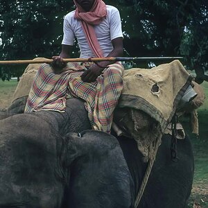 Indien1976-196.jpg
