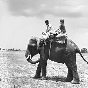 Indien1976-151.jpg