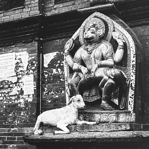 Indien1976-52.jpg