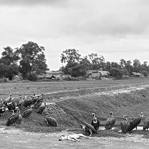 Indien1976-73.jpg