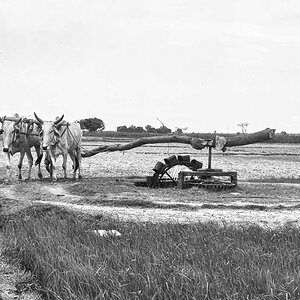 Indien1976-74.jpg