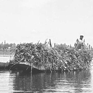 Indien1976-79.jpg