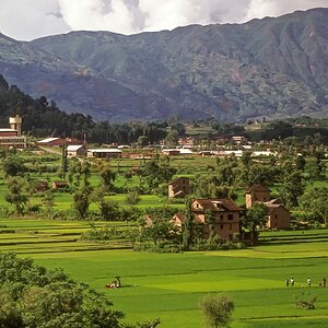 Indien1976-260.jpg