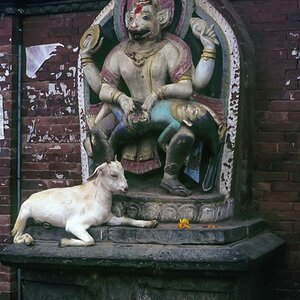 Indien1976-286.jpg