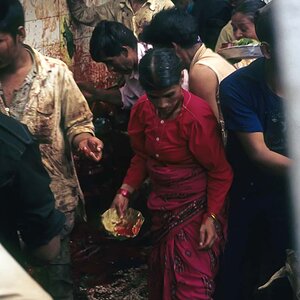 Indien1976-305.jpg
