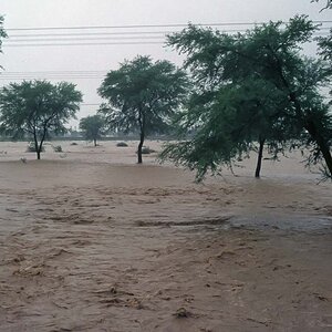Indien1976-328.jpg