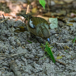 D50_8877-Verbessert-RR.jpg