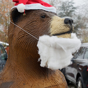 Weihnachtsbär.jpg