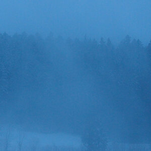 PC060024.jpg