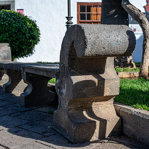 20231107-NZ6_5869.jpg
