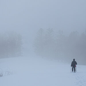 Nebel.jpg
