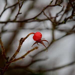 DSC_2570.jpg