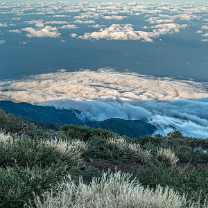 LaPalma23_NZ6_6697.jpg