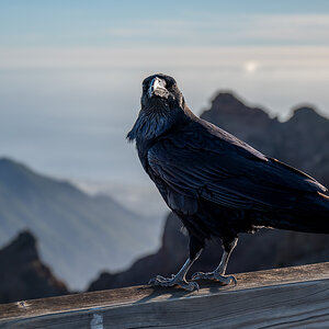 LaPalma23_NZ6_6689.jpg