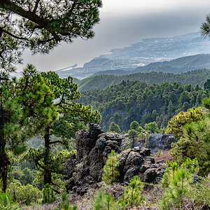 LaPalma23_NZ6_7515.jpg