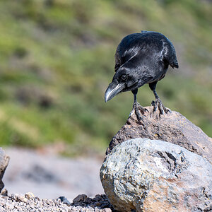 LaPalma23_NZ6_7937.jpg
