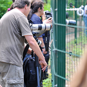 Wolfcenter Barme Fotographen.jpg