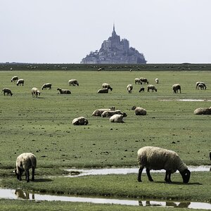A00_7610-Bearbeitet.JPG