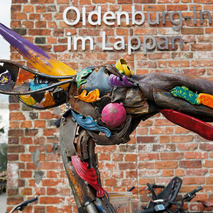 Drache Lappan.jpg