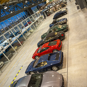 DSC_5545-1.jpg