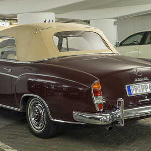 DSCF1309-1.jpg