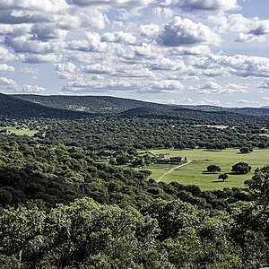 A00_7745-Bearbeitet.JPG