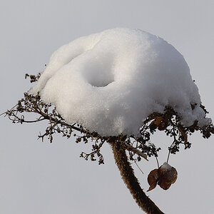 Garten.jpg