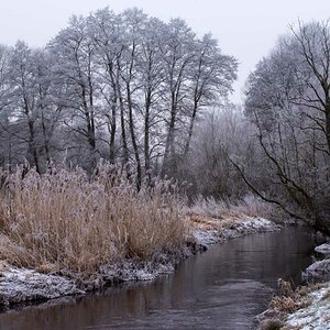 Die Aue im Januar 24.jpg